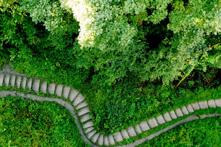 Curved Versus Straight Paths: Their Roles in British Garden Design