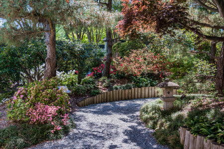 Low-Maintenance Edging Options for British Gardens