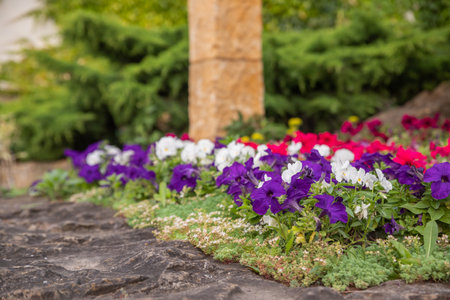 Companion Planting with Spring Bulbs: Creating Iconic English Borders