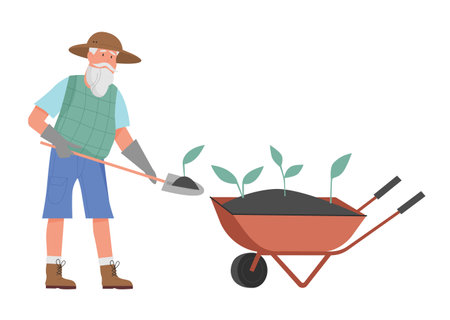 Reading the Skies: How Weather Informs Garden Decisions