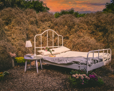 Cottage Garden Borders: How to Layer and Structure Your Beds