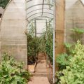 Building Resilient Polytunnel Structures: Materials and Design Tips for the British Climate