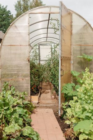 Building Resilient Polytunnel Structures: Materials and Design Tips for the British Climate
