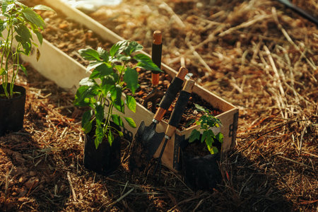 Sustainable Deadheading and Pruning Practices for the Eco-Friendly UK Gardener