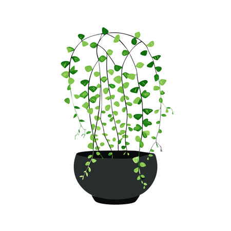 Treasure Troves: Open Gardens in Spring