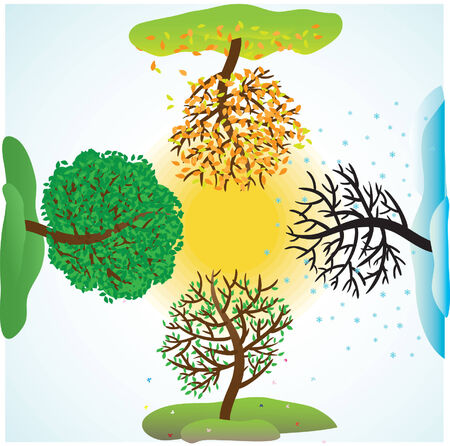 Rainwater Quality: Local Challenges and Surprises