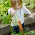 Introducing Children to Wildlife Ponds: Learning and Fun in the Garden