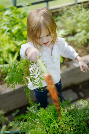 Introducing Children to Wildlife Ponds: Learning and Fun in the Garden