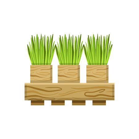 Seasonal Planting Strategies for Raised Beds