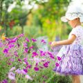 Garden Rewilding for Families: Educational Activities for Children
