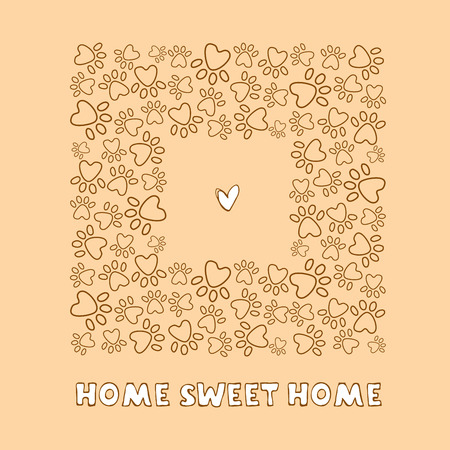 Ideal Conditions for Growing Wildflowers at Home