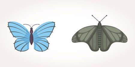 Common Garden Species to Record