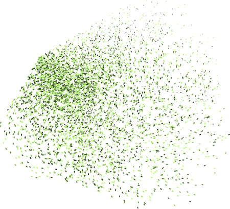 Testing Peat-Free Compost for Seed Sowing: Results from British Gardens