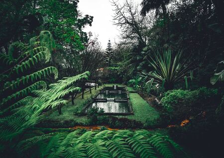 Watering Cans in the British Garden: History, Selection, and Techniques