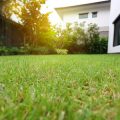 Understanding British Lawn Care Standards: How Mower Choice Affects Turf Quality