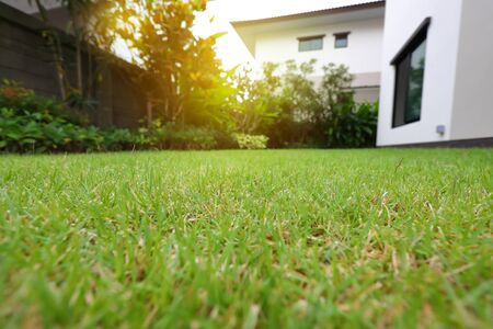 Understanding British Lawn Care Standards: How Mower Choice Affects Turf Quality