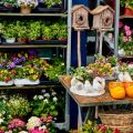 From Concept to Bloom: Step-by-step British Flower Garden Planning