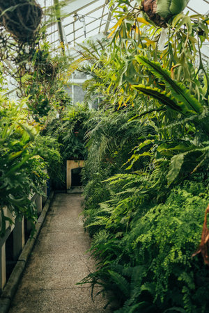 Spotlight on Weeds: How Weedy Growth Attracts Pests and What British Gardeners Can Do