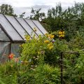 Essential Tasks for Allotment Gardeners Each Season in Britain