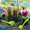 Composting as Wildlife Habitat: Encouraging Biodiversity on Your Allotment