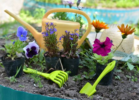 Composting as Wildlife Habitat: Encouraging Biodiversity on Your Allotment