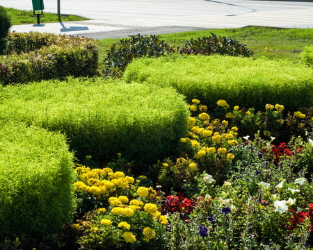 Designing Public Green Spaces with Spring Bulbs: British Parks and Urban Blooms