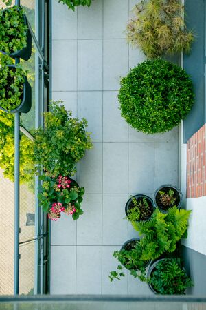 Encouraging Bees in Small Spaces: Bee-friendly Balconies and Window Boxes
