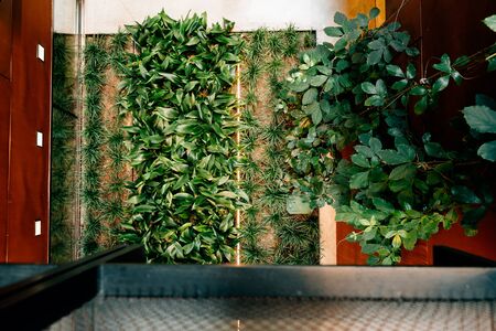 How to Set up Automated Humidity Control Systems: A British Gardener’s Guide