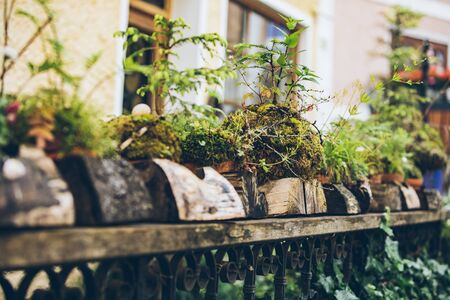 Low-Cost DIY Heating Hacks for Small-Scale Home Greenhouses in the UK