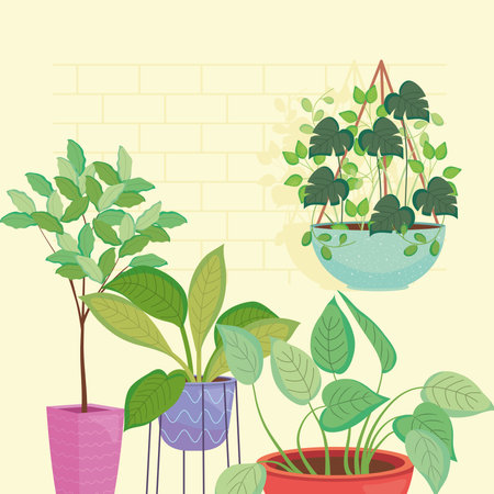 Summer Evenings: Festive Illumination for Gatherings