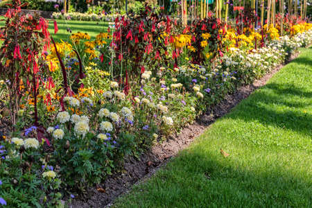 Integrated Pest Management for Slugs and Snails: Combining Natural Approaches in British Gardens