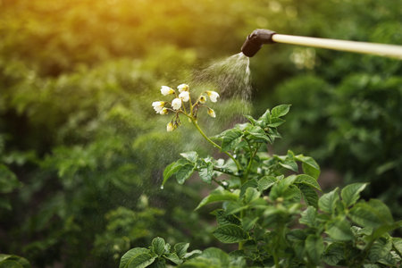 The Impact of Weather on British Pest Activity and How to Adjust Your Protection Strategies