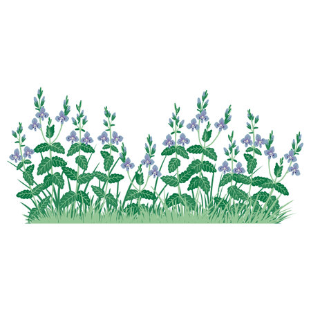 Annuals: The Seasonal Spark