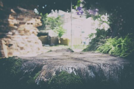 Case Studies: Community Gardens Across England Adopting Peat-Free Practices